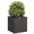 Jardinera de acero laminado en frío negro 40x40x40