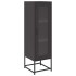 Aparador de acero laminado en frío negro 36x39x123
