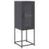Aparador de acero laminado en frío gris antracita 36x39x107