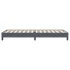 Cama box spring sin colchón gris oscuro terciopelo 80x220