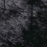 Alfombra peluda de pelo largo NAVARRA negra 200x290cm