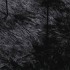 Alfombra peluda de pelo largo NAVARRA negra 300x200cm