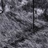 Alfombra de pelo largo NAVARRA gris oscuro 300x200 cm