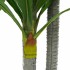 Árbol dracaena artificial 36 hojas 180 cm
