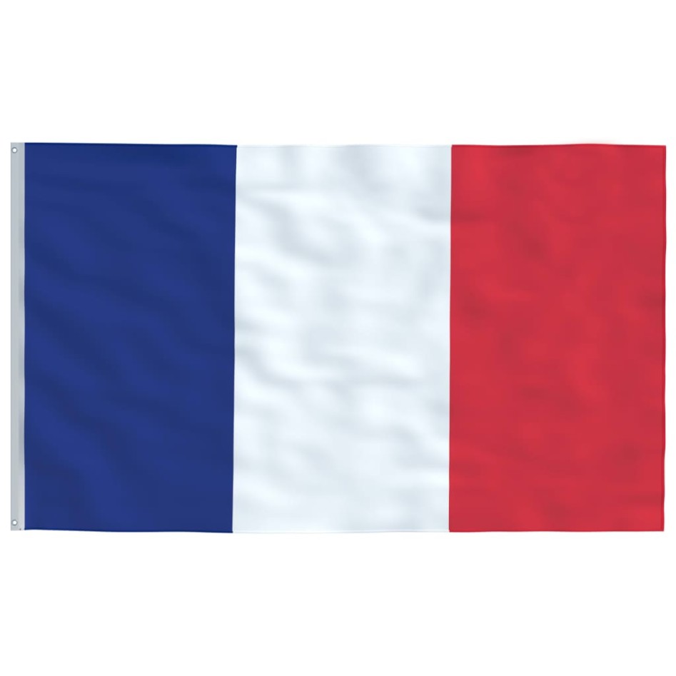 Mástil y bandera de Francia aluminio 5,55