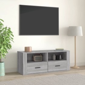Mueble de TV madera contrachapada gris Sonoma 100x35x40