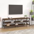 Mueble de TV madera contrachapada marrón roble 160x40x50