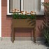 Jardinera madera maciza de pino marrón miel 78x40x81