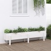 Arriate elevado de jardín madera maciza pino blanco 160x30x38cm