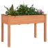 Jardinera con forro madera maciza de abeto marrón 118x59x76