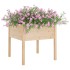 Jardinera de madera maciza de pino 70x70x70