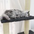 Rascador para gatos con postes de sisal gris oscuro 155