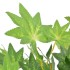 Planta artificial árbol de arce con macetero verde 120
