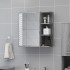 Armario y espejo baño contrachapada gris Sonoma 62,5x20,5x64