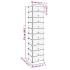 Zapatero PP transparente 44x32x174