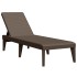 Tumbona de PP marrón 186x60x29