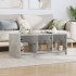 Mesa de centro con puertas de vidrio grs hormigón 102x50x42