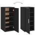 Mueble zapatero de madera contrachapada negro 32x35x70