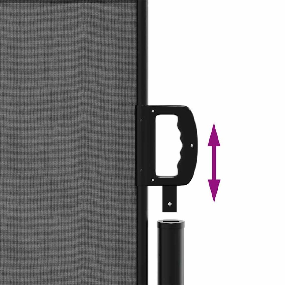 Toldo lateral retráctil gris antracita 100x500