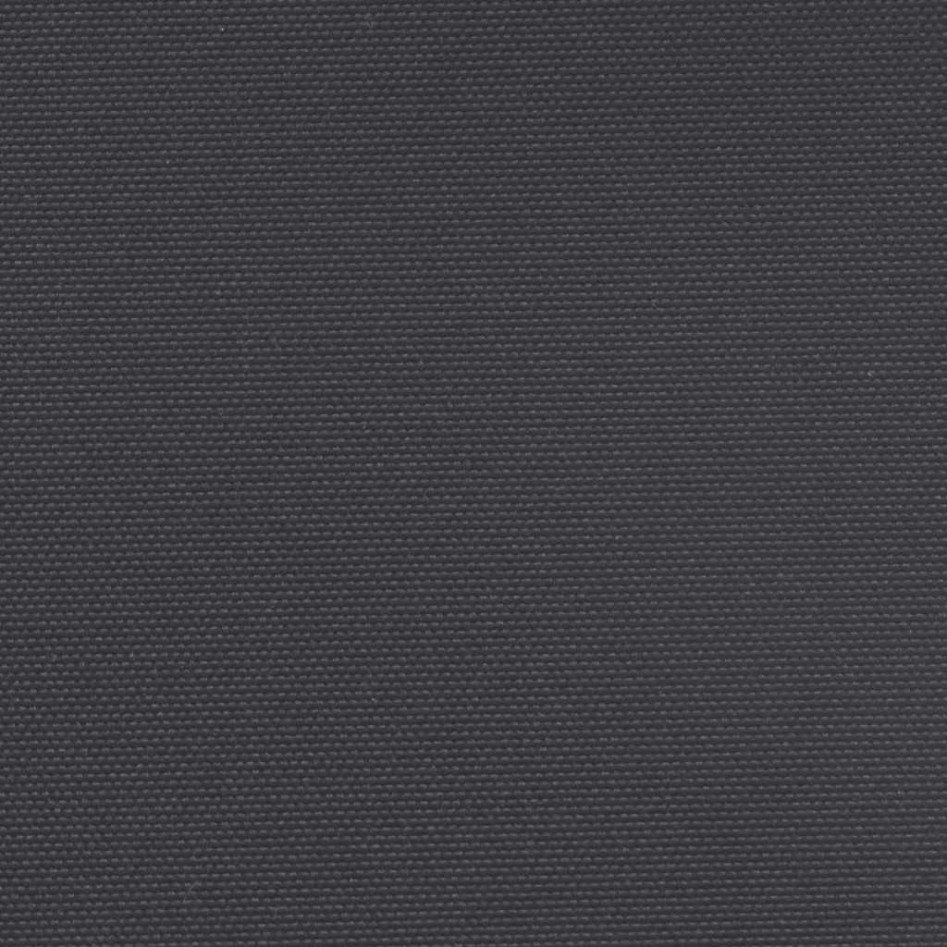 Toldo lateral retráctil negro 160x600