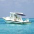 Toldo T-Top extensión azul 170x170x(115-183)