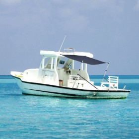 Toldo T-Top extensión azul 170x170x(115-183)