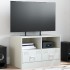 Mueble para TV de acero blanco 67x39x44