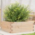 Jardinera de madera maciza de pino 60x60x23