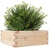 Jardinera de madera maciza de pino 60x60x23