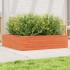 Jardinera de madera maciza pino marrón cera 90x90x23
