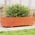 Jardinera de madera maciza de pino marrón cera 90x40x26,5