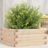Jardinera de madera maciza de pino 50x50x23