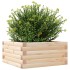 Jardinera de madera maciza de pino 50x50x23