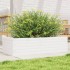 Jardinera de madera maciza de pino blanco 90x40x23