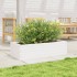 Jardinera de madera maciza de pino blanco 90x40x23