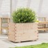 Jardinera madera maciza de pino 70x40x49,5