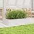 Jardinera de madera maciza de pino blanco 110x60x23