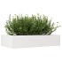Jardinera de madera maciza de pino blanco 110x60x23