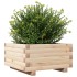 Jardinera de madera maciza de pino 50x50x26,5