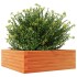 Jardinera de madera maciza pino marrón cera 70x70x23