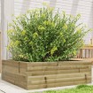 Jardinera de madera de pino impregnada 70x70x23 cm