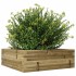 Jardinera de madera de pino impregnada 70x70x23
