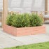 Jardinera madera maciza de abeto Douglas 100x100x23
