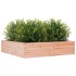 Jardinera madera maciza de abeto Douglas 100x100x23