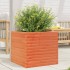 Jardinera madera maciza de pino marrón cera 50x50x45,5