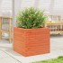 Jardinera madera maciza de pino marrón cera 50x50x45,5