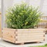 Jardinera de madera maciza de pino 60x60x26,5