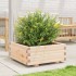 Jardinera de madera maciza de pino 60x60x26,5