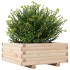 Jardinera de madera maciza de pino 60x60x26,5