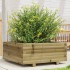 Jardinera de madera de pino impregnada 60x60x26,5